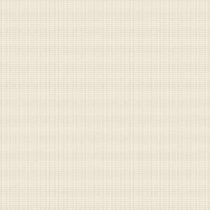 Gạch lát sàn Trường Thịnh WALL TILES VW33003